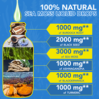 Hatmanlabs Sea Moss Black Seed Liquid Drops, extrait végétal avec racine de bardane et algues fucus pour la thyroïde, la peau et les cheveux, complément alimentaire stimulant