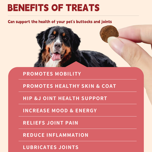 Büyük Irk Köpekler İçin Kondroitin ve MSM İçeren Yüksek Proteinli Kas Geliştirici Yumuşak Çiğneme Tabletleri, Köpekler İçin Kalça ve Eklem Takviyesi - Product Image 2