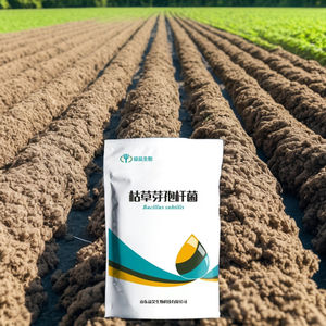 Vendita calda migliorare la fertilità del suolo migliorare la resistenza biologico fertilizzante organico Bacillus Subtilis per l'agricoltura - Product Image 1