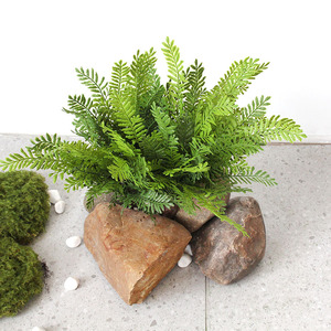 ต้นไม้ประดิษฐ์ตกแต่งภูมิทัศน์ ทนทานต่อรังสียูวี เป็นมิตรกับสิ่งแวดล้อม ต้นเฟิร์นพลาสติกในกระถาง ต้นไม้จำลอง ไมโครแลนด์สเคป กระถางปลูกดอกไม้ - Product Image 3