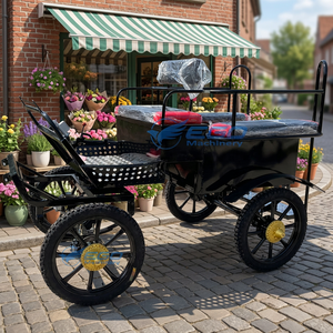 4-Wheeled Pony Carriage Tough Pony Cart Carriage Factory Rate Supplied - Product Image 1