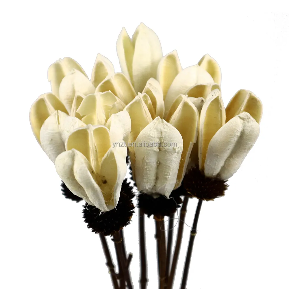 ZanTe kustomisasi kualitas tinggi bahan alam bunga Tulip buatan putih 5 buah untuk dekorasi ruang pengisi vas
