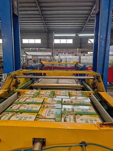 Customizable <strong>Automatic</strong> Gantry Rack Palletizer Machine for Plastic Paper Packaging Cans Carton Cases/Bags/Boxes for <strong>Line</strong> - Product Image 3