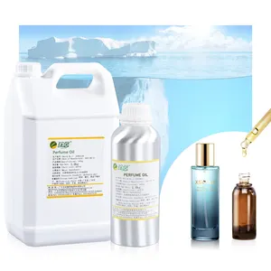 Wholesale Ocean Fragrance Oil 10 ml Sea Salt Parfum Original for Scented Perfume Making