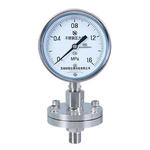 Suzhou Ytp 100bf Diaphragm Pressure Gauge Stainless Steel 100mm Threaded Anti Clogging - Product Image 1
