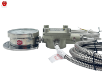 Explosion-Proof Temperature Gauge with Flameproof Junction Box for Coal Mine Conveyor Pump Water Tank