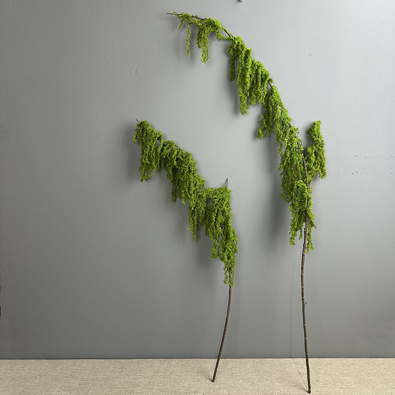 Mos petit simple vert