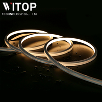 WITOP-Bande lumineuse en silicone pour décoration de façade extérieure, étanche IP67 10x10mm, LED 12/24V