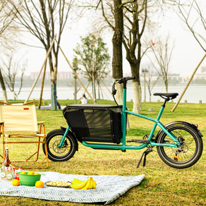 La Más Nueva Bicicleta de Carga Familiar de Dos Ruedas para Trayectos Diarios - Product Image 6
