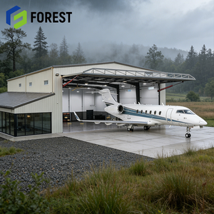 Hangar Prefabricado de Acero de Bajo Costo, Resistente al Viento, para Construcción de Aeropuertos, Listo para Enviar - Product Image 1