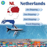 Agent d'expédition rapide DDP DAP, transitaire aérien, expéditeur de fret de Chine vers les Pays-Bas, livraison porte à porte, dropshipping express