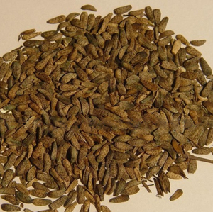 Extrait <span class=keywords><strong>de</strong></span> graines <span class=keywords><strong>de</strong></span> bardane en vrac, poudre d'extrait <span class=keywords><strong>de</strong></span> graines d'Arctium Lappa - Product Image 6
