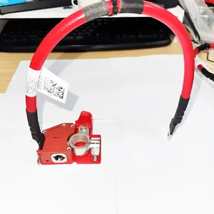 61128796155 61128704706 1PCS Câble de <span class=keywords><strong>batterie</strong></span> <span class=keywords><strong>hybride</strong></span> ou standard pour <span class=keywords><strong>BMW</strong></span> Série 3 Accessoires de voiture 61128796959 61125A690C1 - Product Image 5
