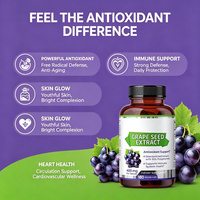 Capsules d'extrait de pépins de raisin ODM/OEM 50:1, équivalent à 20 000 mg, 95 % de polyphénols, antioxydant et soutien immunitaire, végétalien