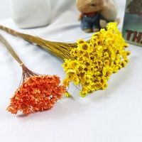 Bunga Bintang Kuning Every Love Bunga Bintang Kecil Kering Bunga DIY Bunga untuk Dekorasi Rumah