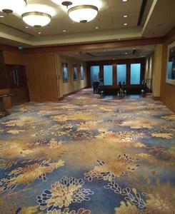 80% Len 20% Nylon In Axminster Thảm Cổ Điển Sang Trọng Cắt Đống Cho Nhà Sử Dụng Mô Hình Trừu Tượng Cho Khách Sạn Broadloom Thảm - Product Image 4