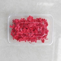 Grosir bunga hydrangea asli lilin aromaterapi bahan DIY bunga Pres kering untuk seni resin dan dekorasi kuku
