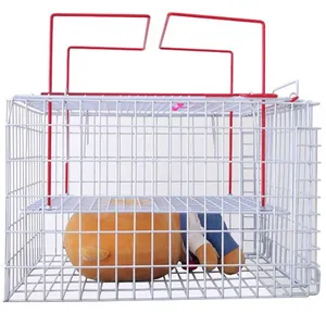 Hot selling product pet hospital injection cage small-breed dog and cat medical injection cage