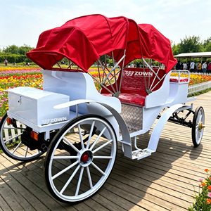 ZOWN Magnifique Calèche Dorée à Capot Rouge, Électrique, Garantie 2 Ans, Taille et Poids Personnalisables, Émanant une Touche de Romantisme Chinois - Product Image 1