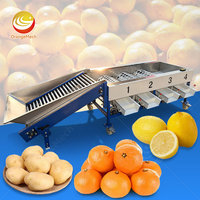 ORME Fruitverwerkingsmachine, Palmvrucht sorteermachine, Groente rotatie was- en sorteermachine