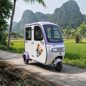SumEV 도매 성인용 3륜 전기 삼륜차 오픈형 차체 60V DOT 및 CE 인증 3인승 차양막 관광 <span class=keywords><strong>택시</strong></span> 모델 - Product Image 6