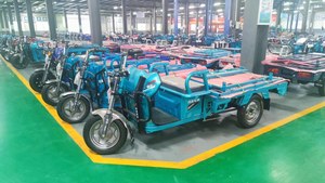 High Quality Manufacturer Wholesale 48V 60V 600W High Power Tricicle Electric Electric <b>Passenger</b> Trike for Adults - Product Image 5