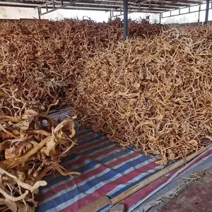 ของตกแต่งตู้ปลาตู้ปลาธรรมชาติรากโรโดเดนดรอน - Product Image 6