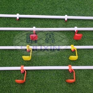 Sıcak daldırma galvanizli güçlü Metal boru çerçeve için 3 katlı 96 kuşlar katmanlı tavuk kafesi - Product Image 2