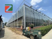 Système de serre hydroponique intelligente à grande échelle ZHUOTAI avec contrôle climatique et couverture en verre, fabriqué en Chine