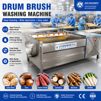 Laveuse industrielle automatique à rouleaux brosse pour légumes, pommes de terre, carottes, gingembre – Nettoyage pour la transformation alimentaire