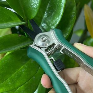 SUNSHINE <span class=keywords><strong>florabest</strong></span> outils de <span class=keywords><strong>jardin</strong></span> micro pointe ciseaux d'élagage arbuste ciseaux de <span class=keywords><strong>jardin</strong></span> coupe-arbre Branches sécateur - Product Image 6