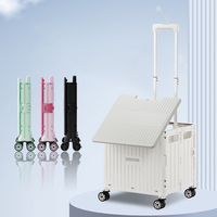 Chariot pliant portatif pliable de grande capacité de haute qualité PP personnalisé multifonctionnel 65L