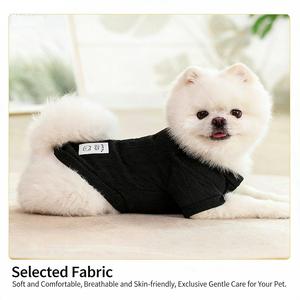 Oem & Odm Winter Tweebenige Huisdier Effen Kleur Polyester Klassieke Eco-Vriendelijke Trui Goed Uitziende Hondenkleding - Product Image 4