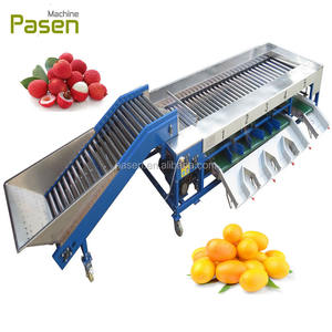 เครื่องคัดแยกผลไม้แบบลูกกลิ้งหมุนสำหรับเสาวรส มังคุด ลำไย และลิ้นจี่ - Product Image 1