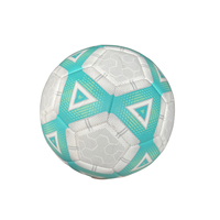 Ballon de football de taille 2 souple et léger de haute qualité Mini balle cousue à la machine en PVC pour les jeux d'entraînement en plein air pour enfants