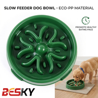 Gamelle anti-étouffement colorée en PP à grand diamètre pour animaux de compagnie, bol antidérapant pour chien, gamelle anti-ballonnements pour animaux