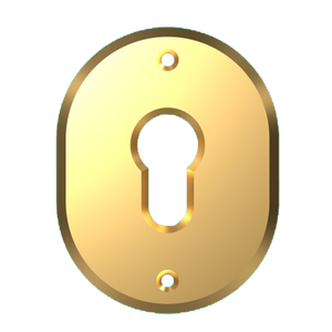 INSERT EXTERNE POUR CYLINDRE EUROPEEN '316L' CIPIERRE 90x70x4mm-Couleur Bronzé - Product Image 1