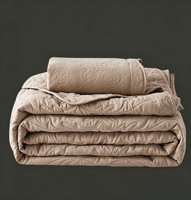 Ensemble de couvre-lit matelassé 3 pièces en polyester matelassé à l'échelle ultrasonique, housse de couette et drap, textile de maison pour toutes les saisons