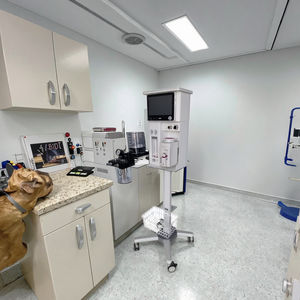 LTVA04 Máquina de anestesia <span class=keywords><strong>veterinaria</strong></span> Ventilador de clínica animal para la comodidad del perro para hospitales veterinarios - Product Image 4