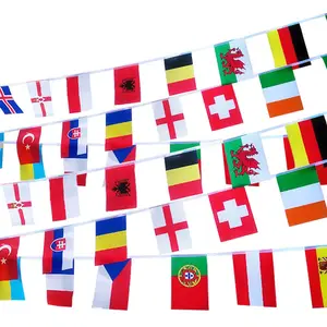 Hot Selling Manufacturer Wholesale Custom Made All Countries National Flags Bunting String Flags Banners