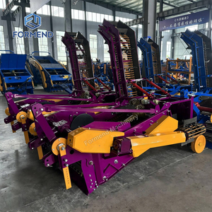 Arracheuse de pommes de terre robuste et réglable, tractée par tracteur, pour sols argileux - Product Image 6