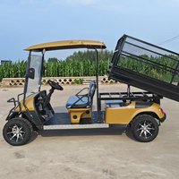 Voitures de golf électriques 2 places, buggy 4x4, batterie lithium 48V/72V, voiture de patrouille électrique, éclairage de golf