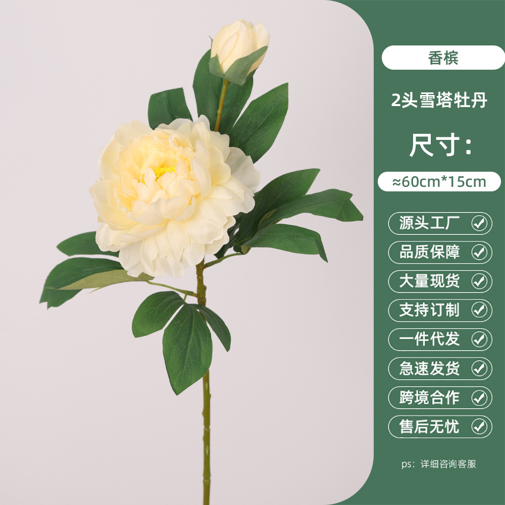 2 peonie torre di neve-champagne