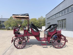 HengYiSheng Chariot de Mariage Électrique Européen pour Tourisme et Visites, Origine Henan - Product Image 5