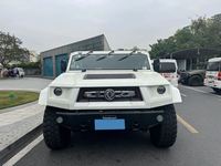PRÊT À EXPÉDIER - Dongfeng Warrior M50 D'OCCASION
