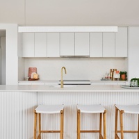Meubles d'intérieur modernes, design gratuit, panneau de porte plat, armoire de cuisine laquée