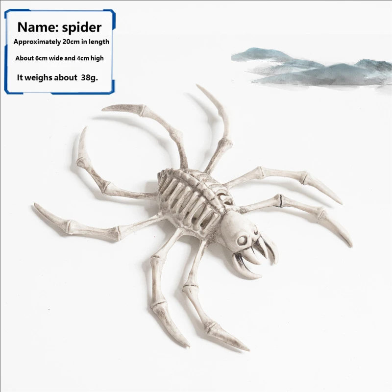 spider