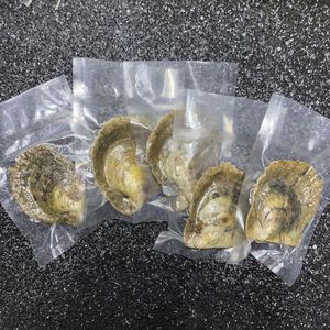 Perla <span class=keywords><strong>de</strong></span> agua dulce <span class=keywords><strong>de</strong></span> 7-8mm en concha <span class=keywords><strong>de</strong></span> akoya, como regalo, tiktok - Product Image 3
