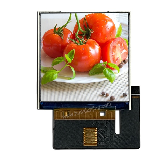 1.54 Inch Square IPS TFT Color LCD Display Module with 15-Pin SPI RGB Interface ST7789V2-G4 Driver for Smartwatch Applications