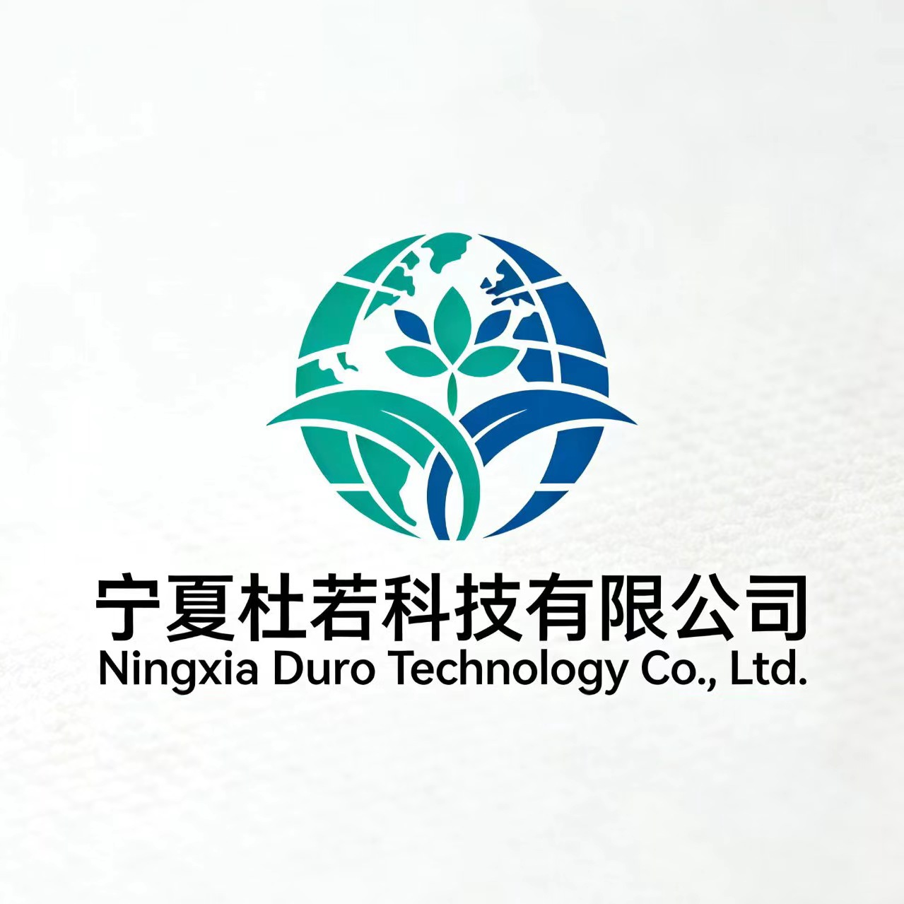 Ningxia Duruo Technology Co., Ltd. logo
